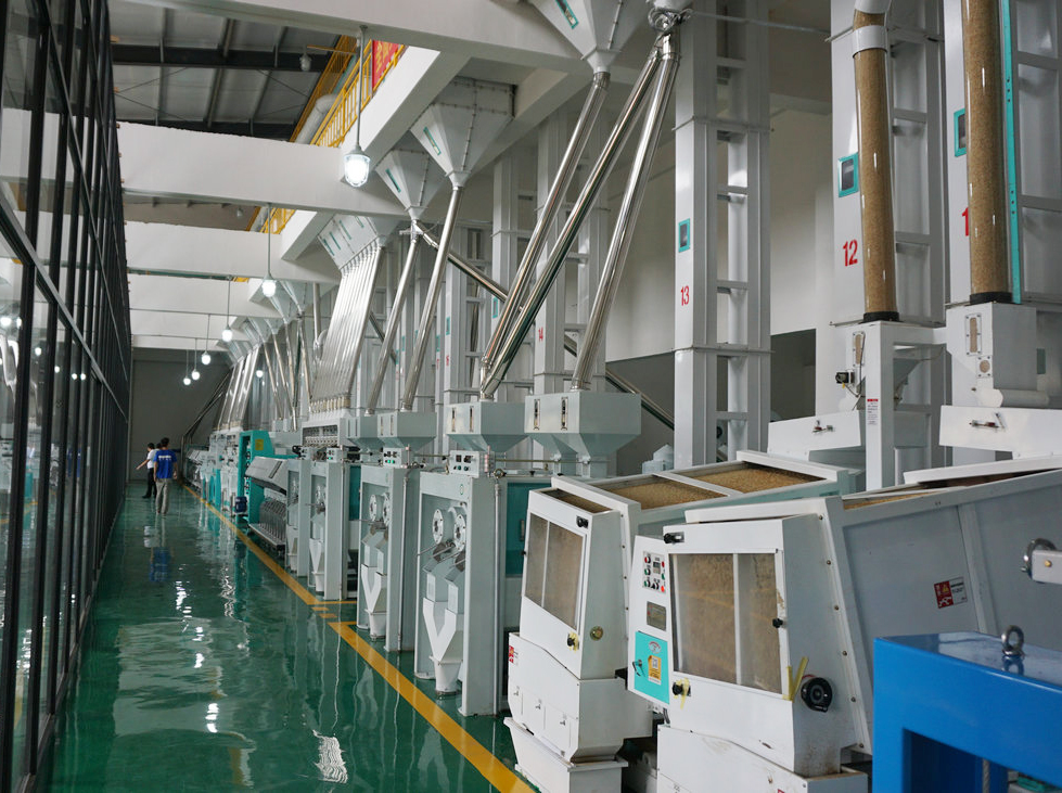 Guizhou Zhongyu Huannong Oil Co., Ltd. 300T/D complete rice milling project 